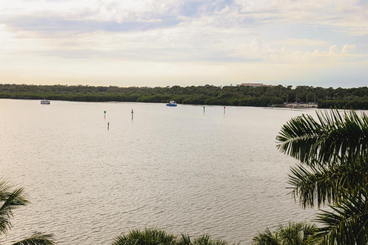 Dolphin Bay In Boca Ciega Resort - 2Br, Pool, Bay View St. Petersburg Eksteriør bilde
